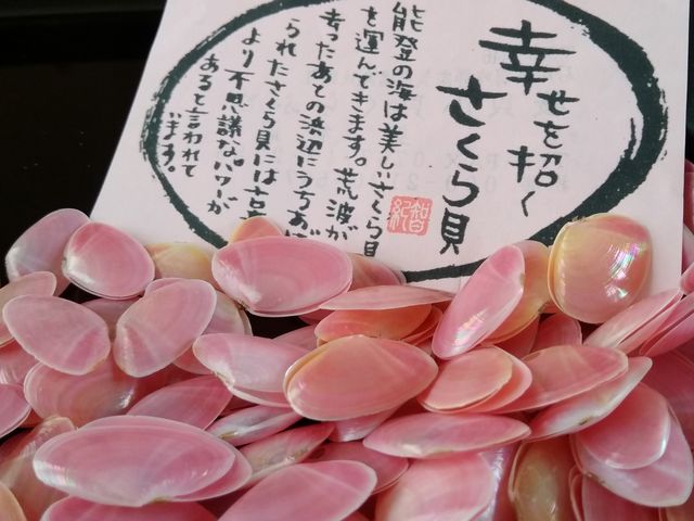 さくら貝小貝クラフト 華