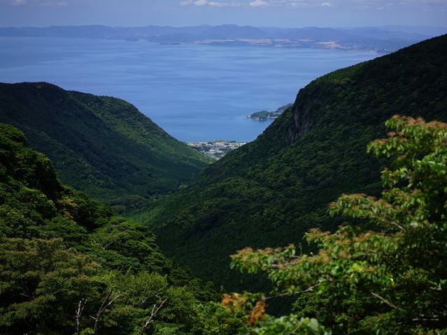 橘湾が見える展望所