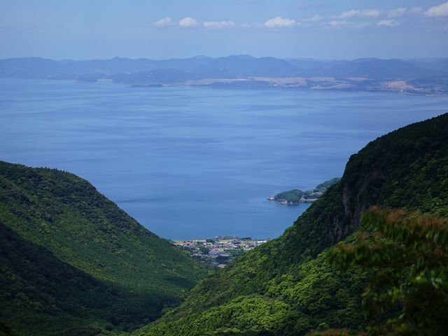 橘湾が見える展望所