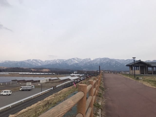 有限会社 安田興和農事 イチゴ園