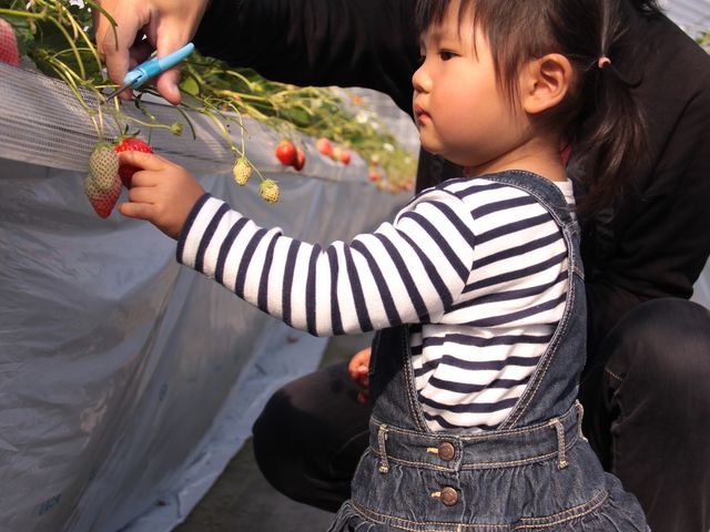 小林農園