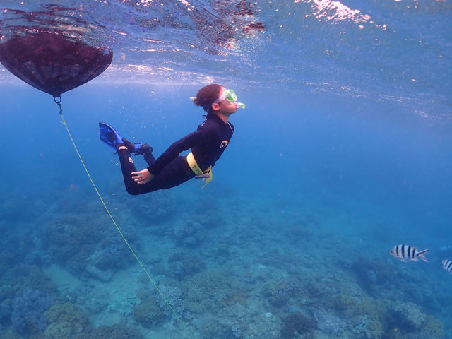 スキンダイビングは8歳から_Diving house CHABA Gua