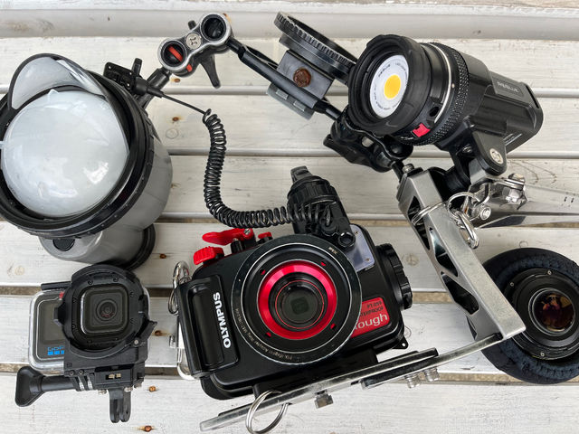 プロ仕様のカメラ、ライトで写真や動画を撮ります!データはプレゼント!_Diving house CHABA Gua