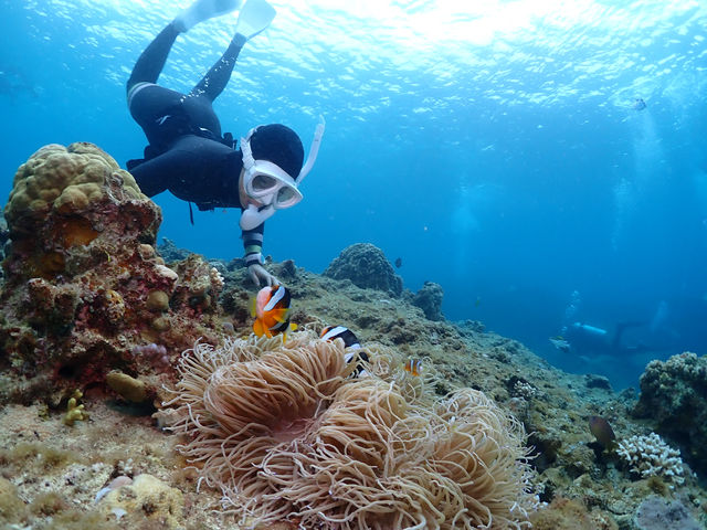 スキンダイビングに挑戦!_Diving house CHABA Gua