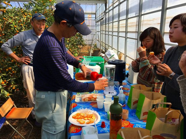 藁科農園