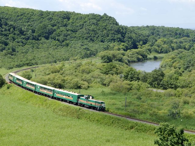 広大な釧路湿原を縦断!「くしろ湿原ノロッコ号」_WILLER株式会社