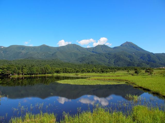 「知床五湖」は見逃せない絶景!_WILLER株式会社
