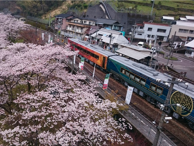 四国まんなか千年ものがたり(JR四国観光列車)_祖谷渓タクシー
