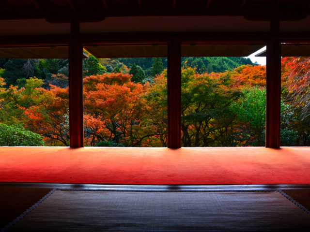 紅葉溢れる高山寺_雅 京都観光タクシー