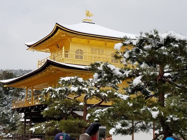 雪の金閣寺_雅 京都観光タクシー