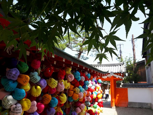 八坂庚申堂でポップな括り猿_雅 京都観光タクシー