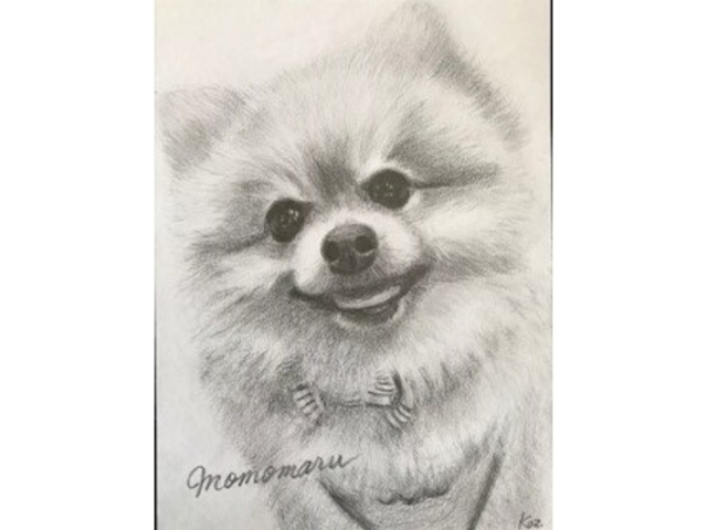 可愛いペットの鉛筆画オーダーも承ります(見本)_アトリエラベンダーファーム