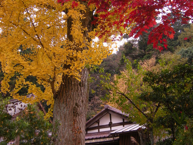 瑞源寺