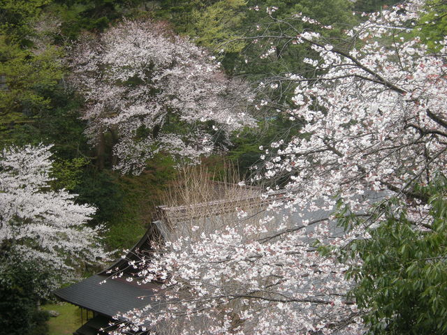 瑞源寺