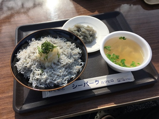 ちりめん丼(土佐角弘海産)_香南市観光協会