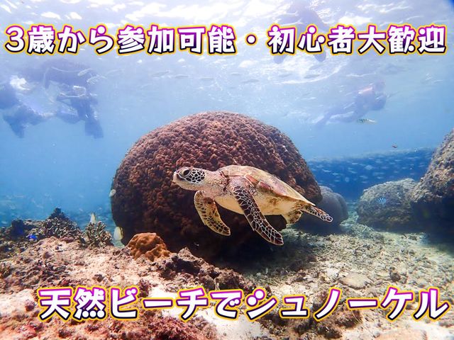 糸満ダイビングサービス