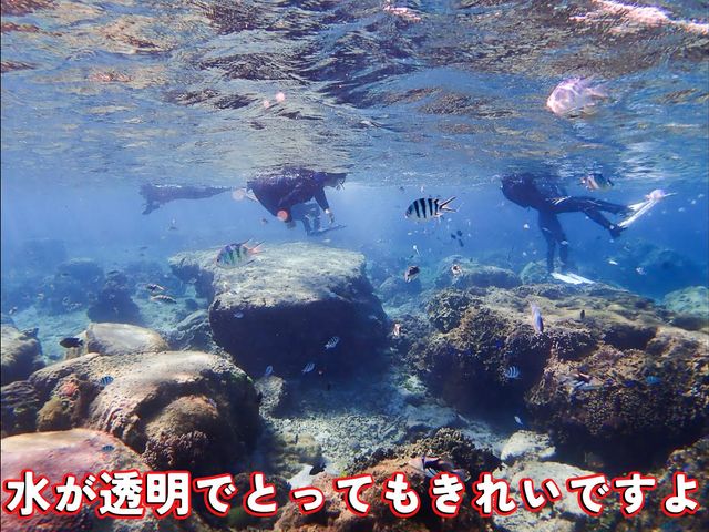 糸満ダイビングサービス