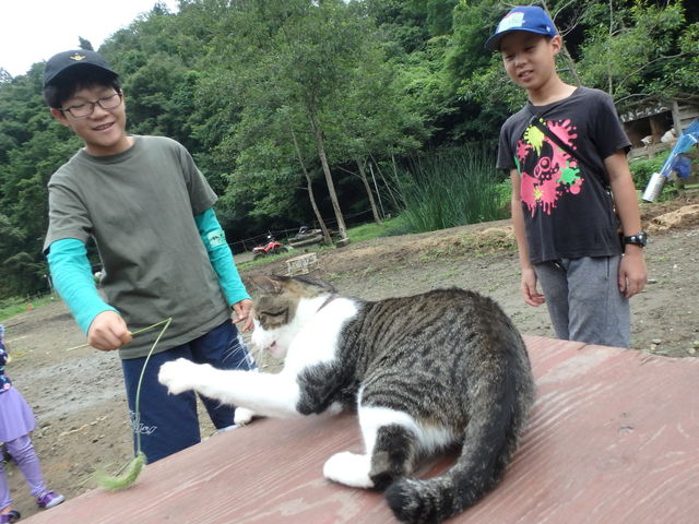 猫とふれあい_ゼロ村牧場パカラッチョ!!
