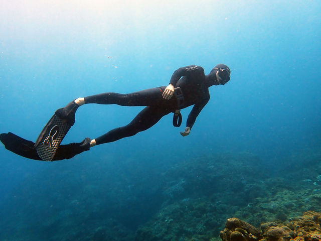 海の中を自由に泳ごう!_OCEANZ - オーシャンズ
