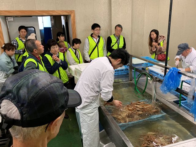福井市中央卸売市場のバックヤードツアー。普段立ち入れない場所に入れるのも幸-FULL TOURSの魅力!_幸(YUKI)‐FULL TOURS