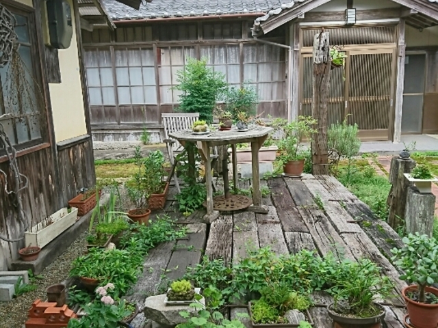 森ノヲク
