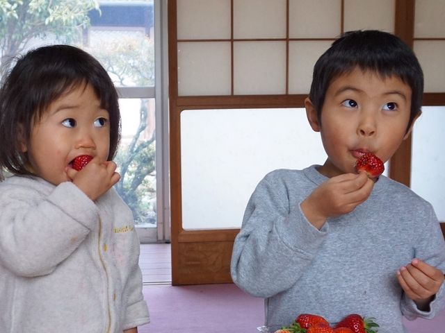 吉村農園
