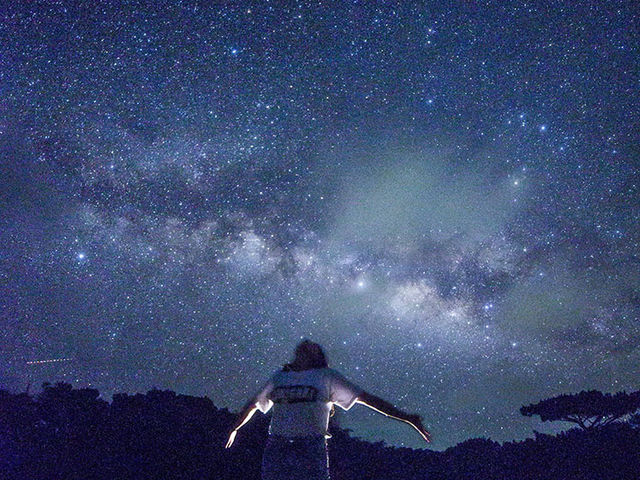 流れ星の丘
