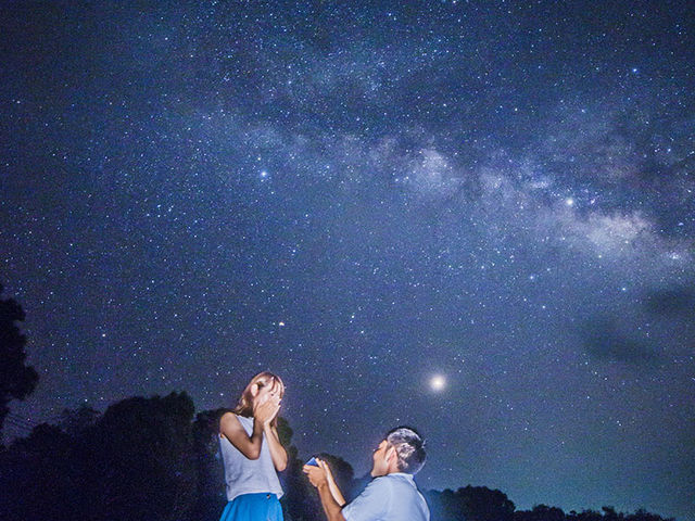 流れ星の丘