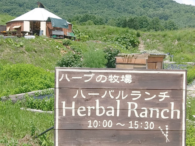 夏は洞爺湖ハーブ園ハーバルランチでクラフト体験できます_フランジパニ