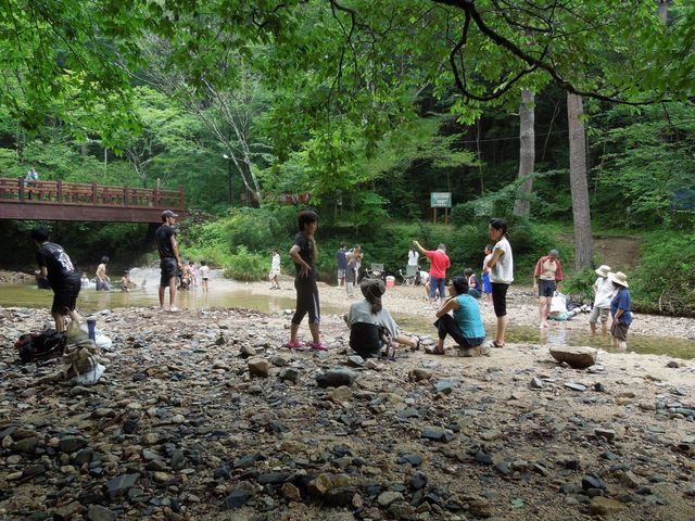 車で10分の場所に、きれいな水が流れる川があります。夏は水遊びやスイカ割りをして楽しめますよ。_四季彩菜工房