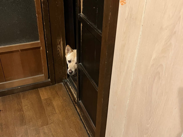 農家民宿 椀de縁