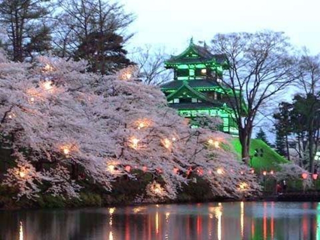 高田城と桜_アートホテル上越