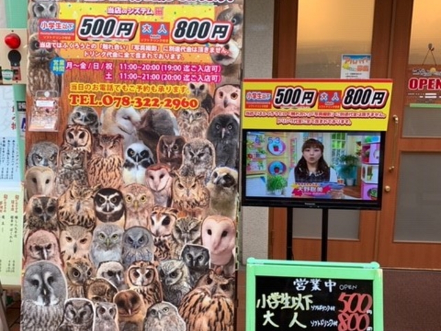 ふくろうの家族