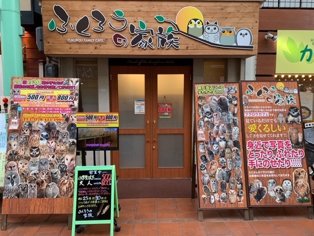 ふくろうの家族