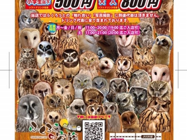 ふくろうの家族