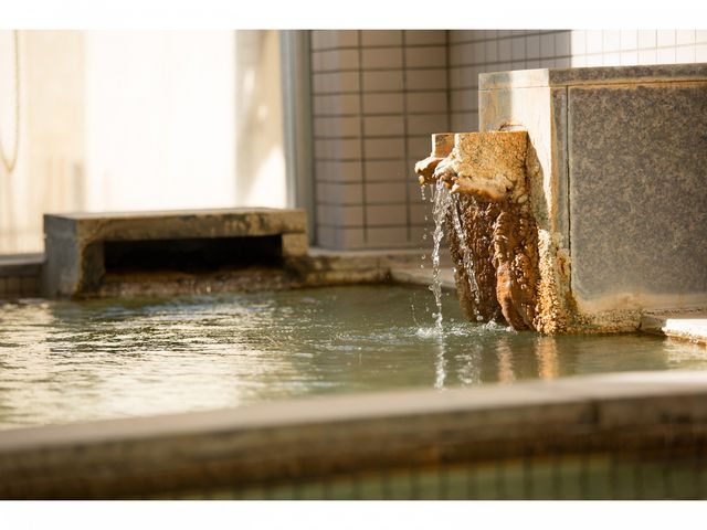 『湯ったり館 とどぽっくる』☆「美人の湯」と呼ばれる”炭酸水素塩泉”_ホテル恵風