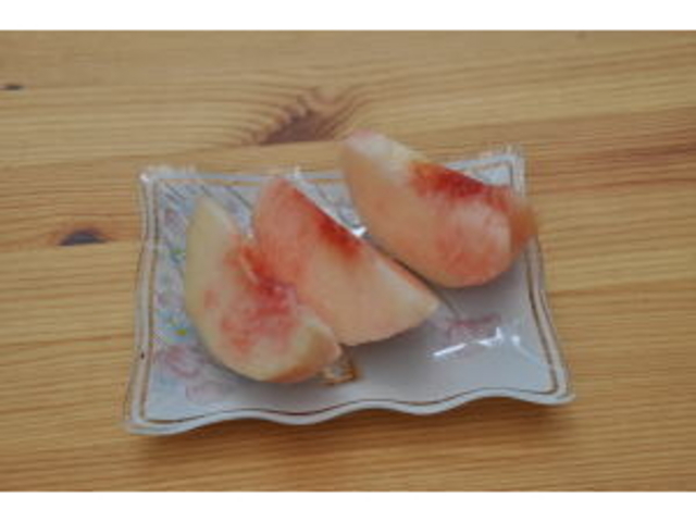 くぬぎ観光農園
