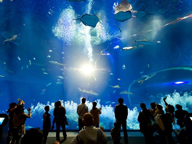 【アクアワールド大洗】当館目の前で小さなお子様がいるご家族も安心♪_大洗パークホテル