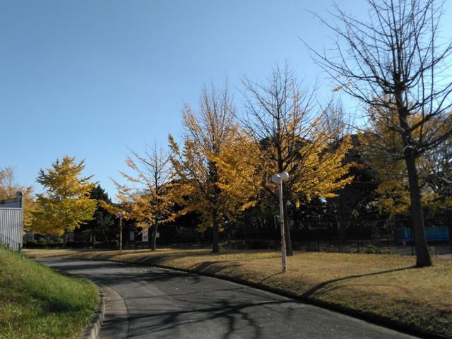 市原緑地運動公園