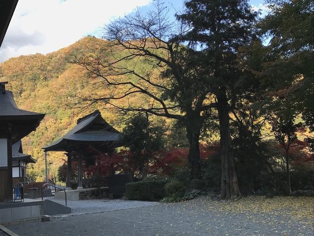 吉祥寺