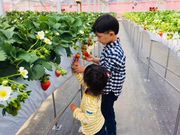 joumonfarm(じょうもんふぁーむ)の写真2