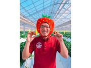 @FARM(アット・ファーム)~いちご狩り・さつまいも堀り・トマト生産&直売~の写真3