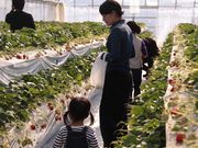 小林農園の写真3