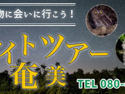 ミッドナイトツアー奄美の写真2