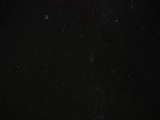 ミッドナイトツアー奄美の写真4