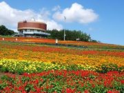 WILLER株式会社の写真2