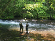 WILLER株式会社の写真3