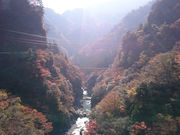 祖谷渓タクシーの写真2