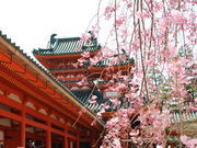 雅 京都観光タクシーの写真2