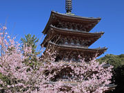 雅 京都観光タクシーの写真3